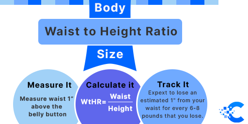 Waist-to-Height-Ratio-Calculator