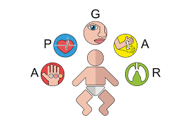 Illustrative representation of the meaning of the apgar test