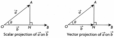 scalar vs vector projection