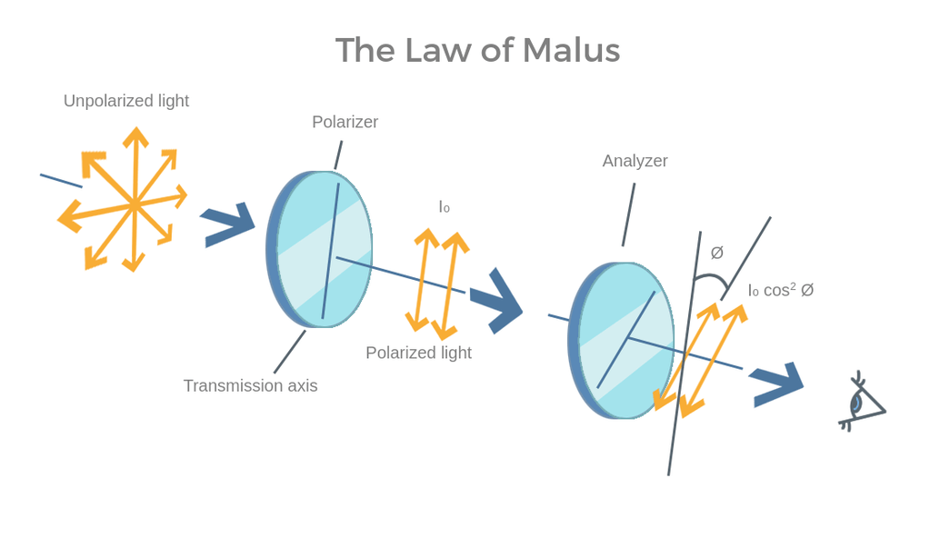 Malus Law explained