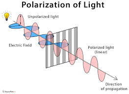 Polarization of Light explained