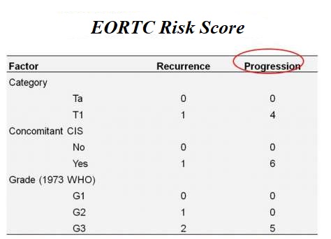 EORTC Bladder Cancer Recurrence and Progression. Risk Score.